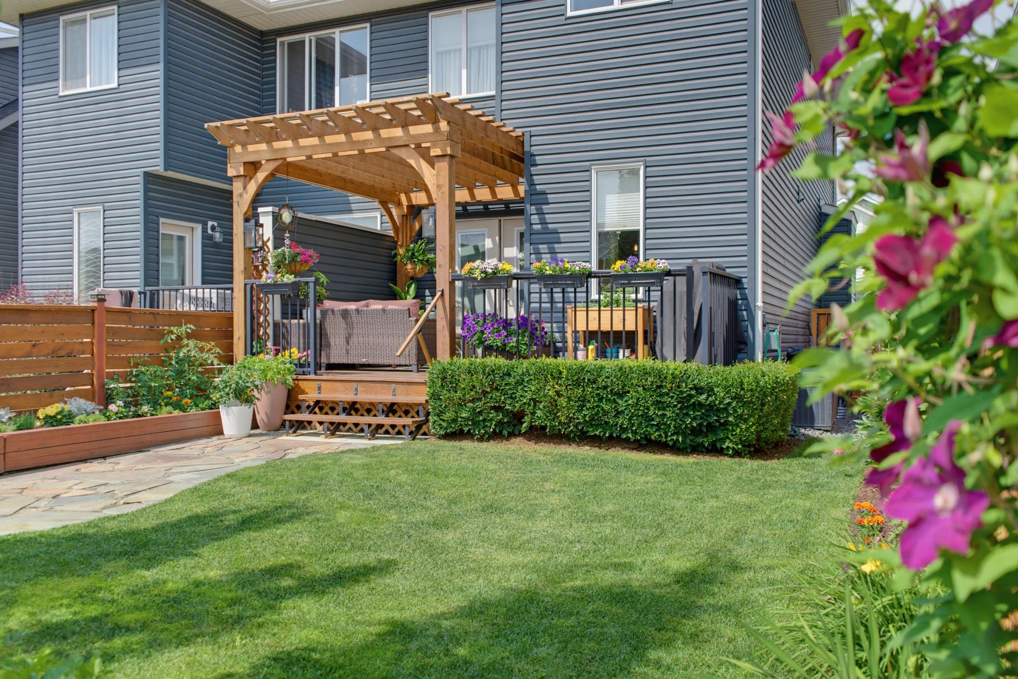 Backyard